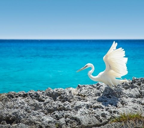 fyc_car_08_mobile Mobile Image