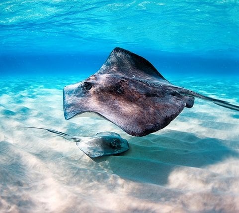 fyc_car_17_mobile Mobile Image