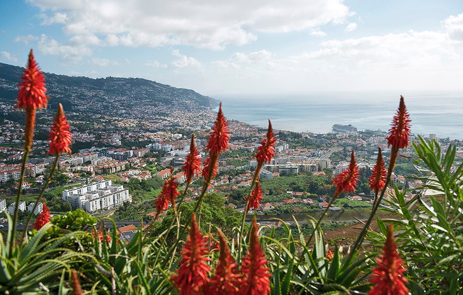 Crociera Canarie e Madeira, Funchal | MSC Crociere