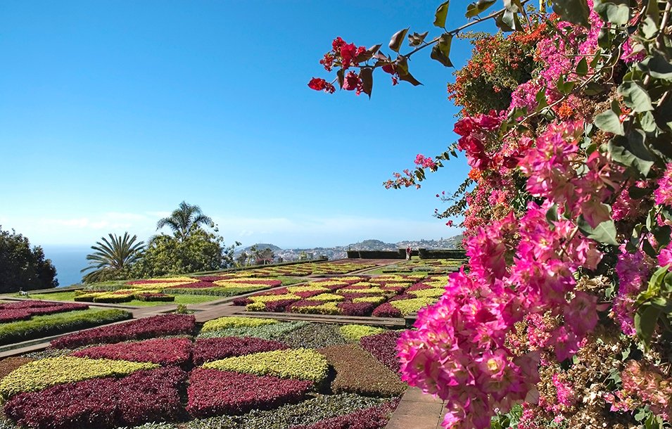 Crociera Canarie e Madeira, Funchal | MSC Crociere