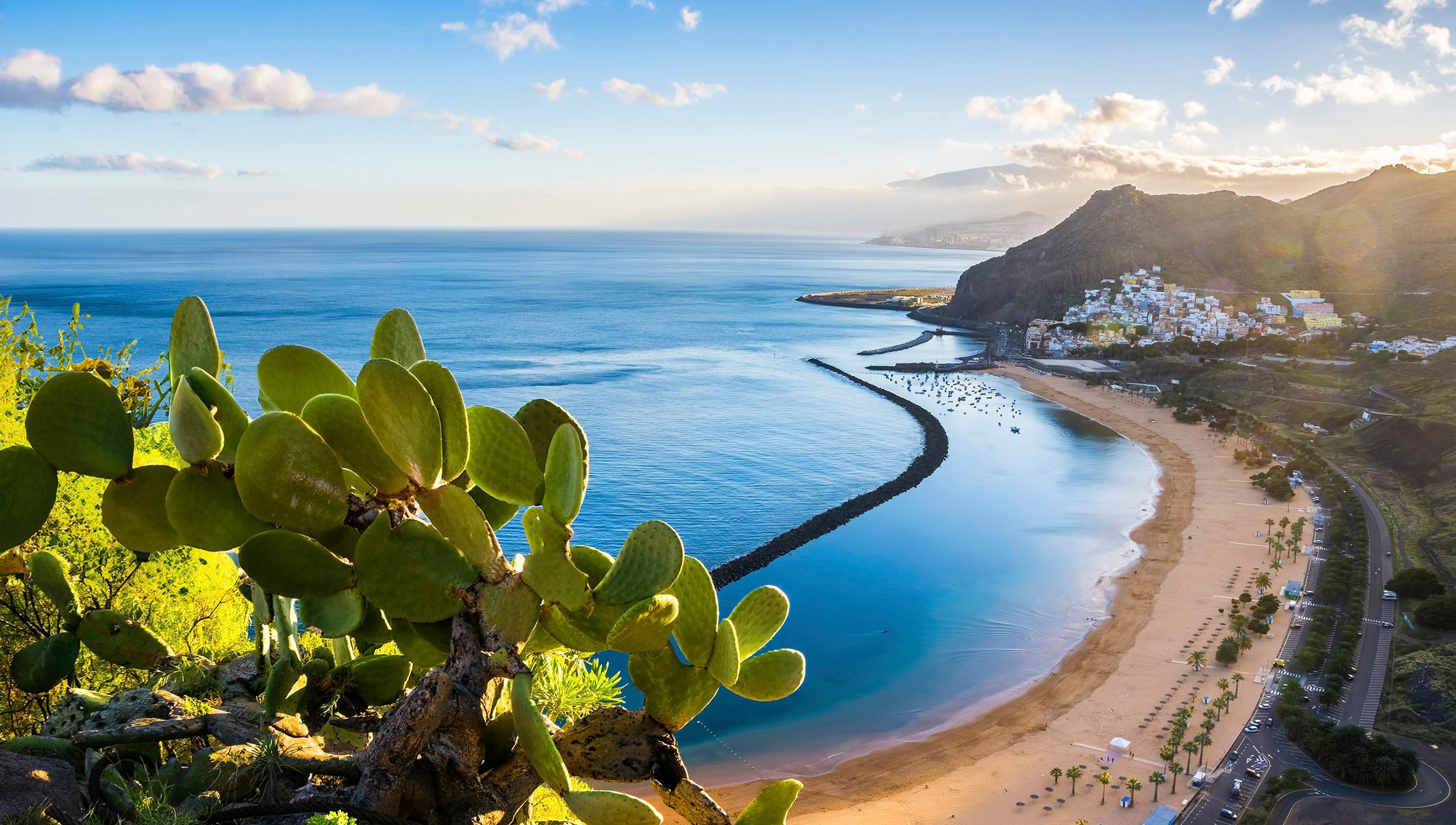 Canary Islands & Madeira | MSC Cruises Canary Islands & Madeira | MSC Cruises
