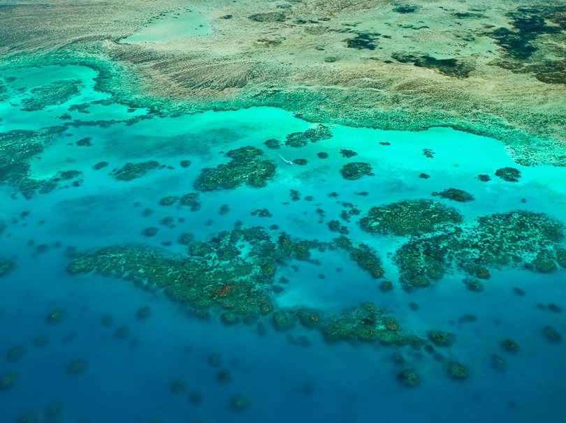 MSC World Cruise, Cairns | MSC Cruises