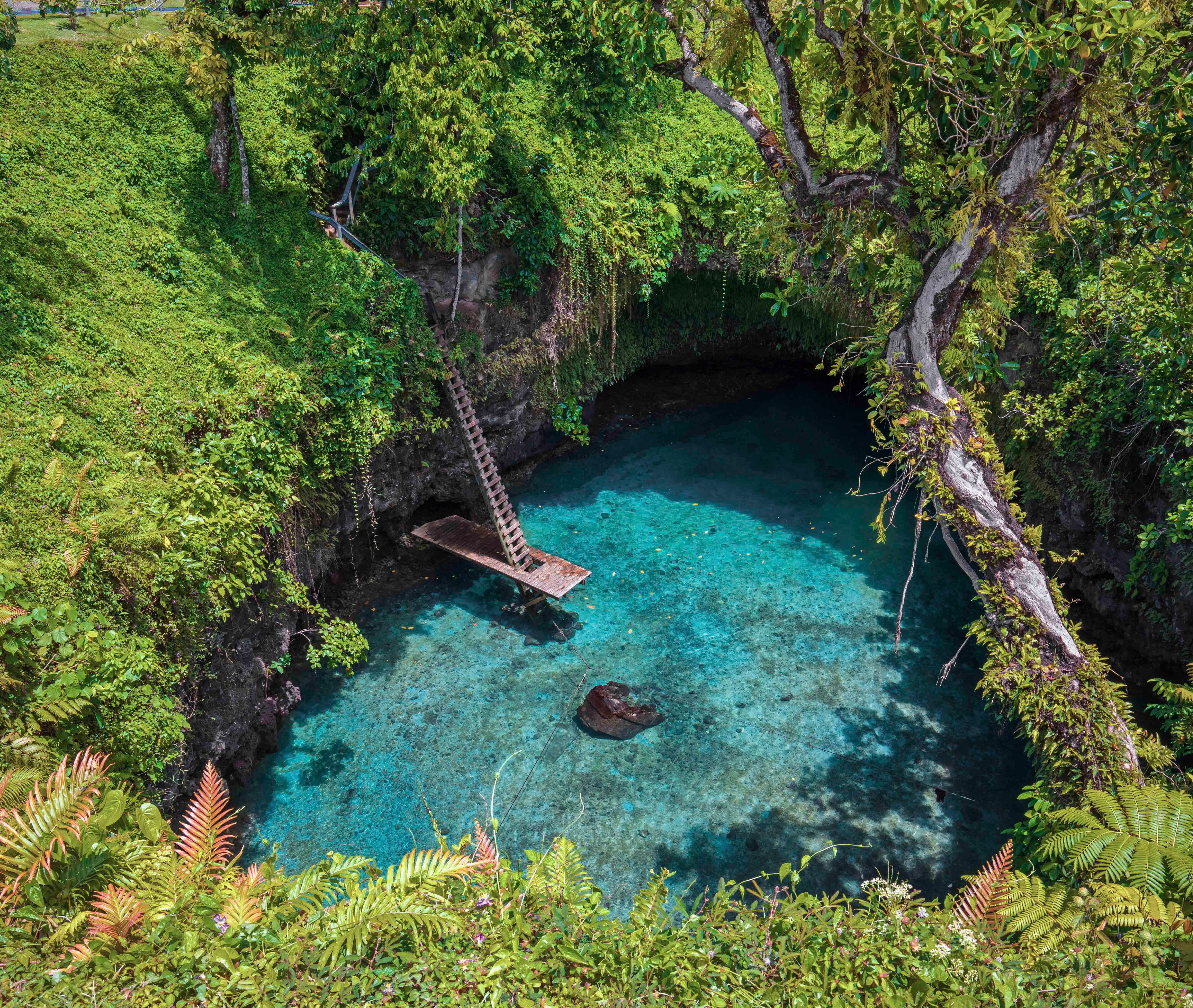 MSC World Cruise 2027, Apia| MSC Cruises