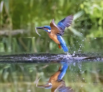 MSC World cruise 2028 | MSC Cruises