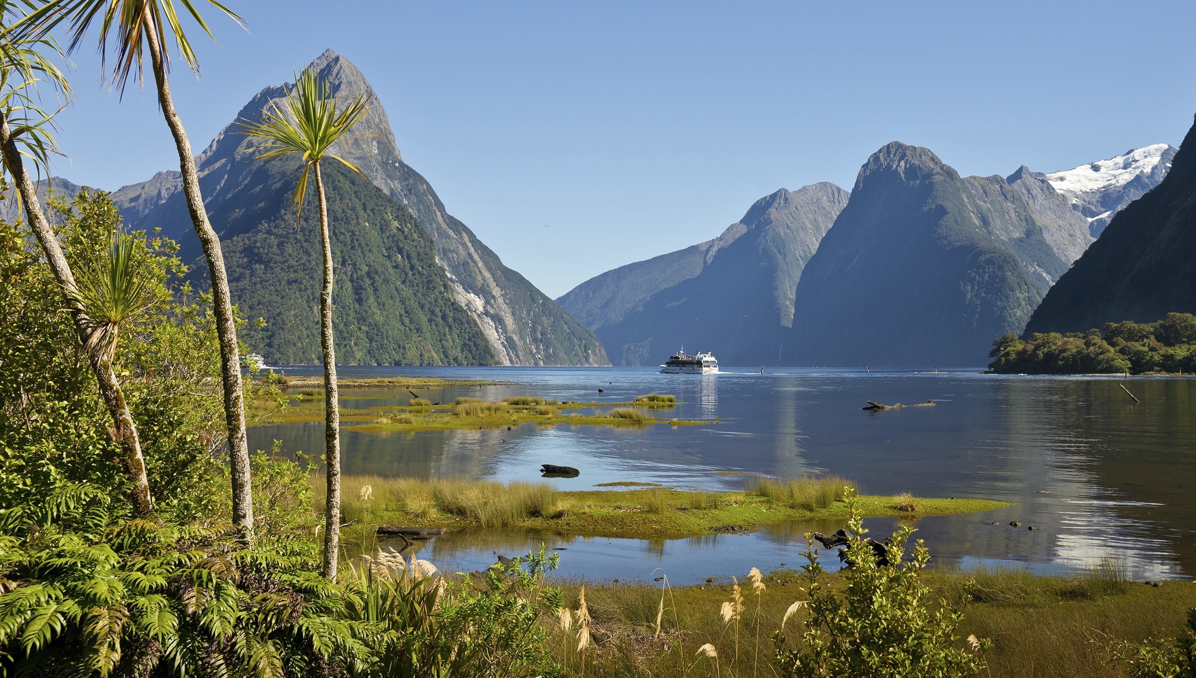 Milford Sound attractions: cruise to New Zealand | MSC Cruises