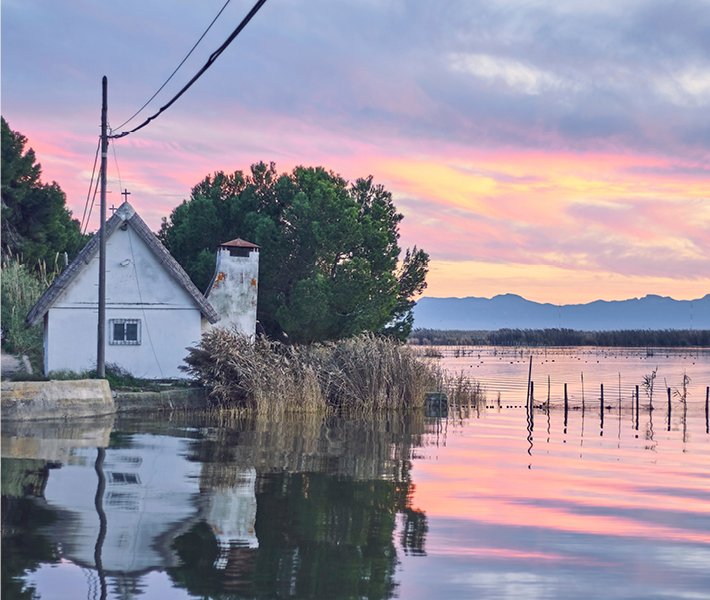 Tour di Valencia, Albufera | MSC Crociere