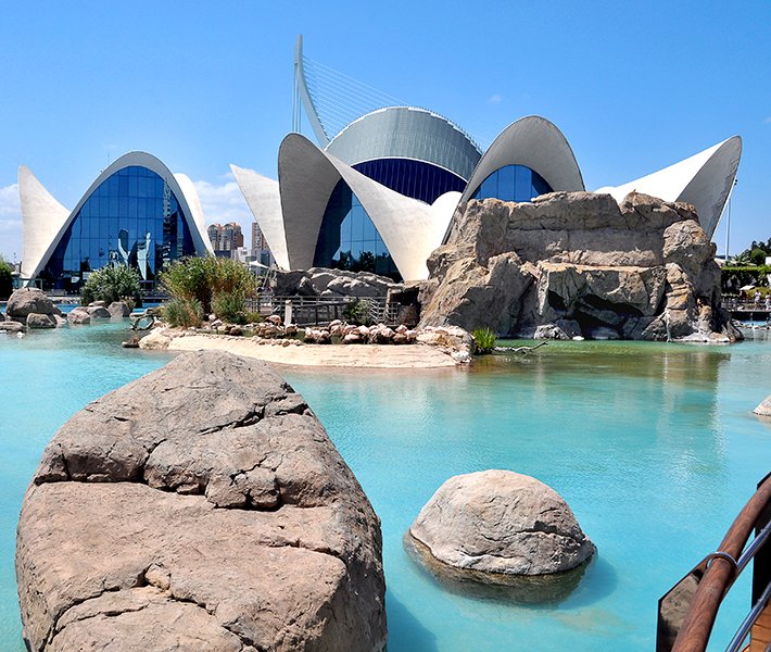 Tour di Valencia, Oceanografico | MSC Crociere