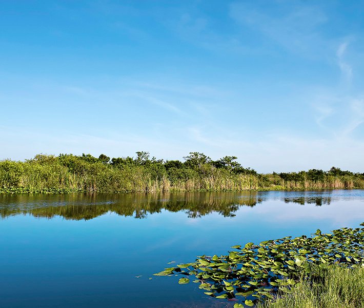 Tour di Miami, Everglades | MSC Crociere