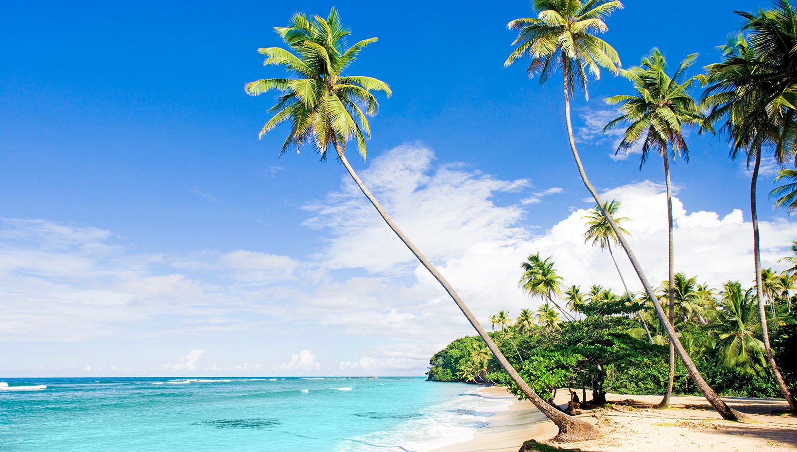 MSC Stay & Cruise | La Romana