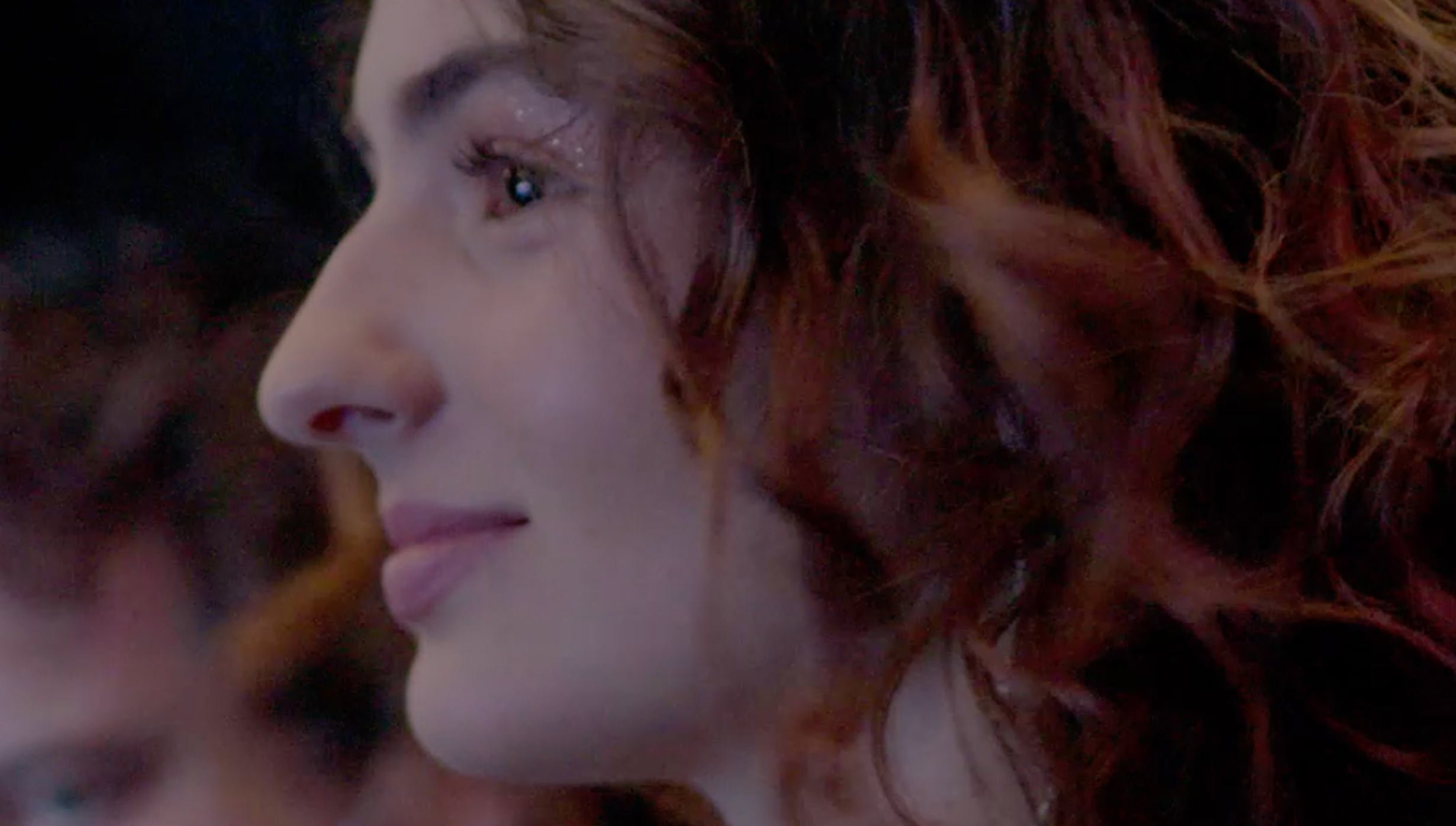 msc sito desktop artista