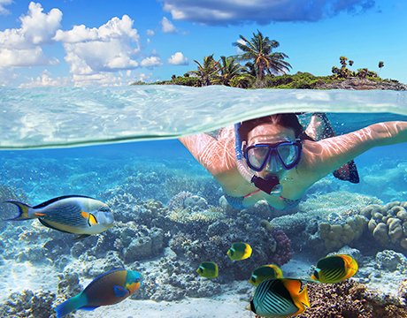 Crociere ai Caraibi e Antille | MSC Crociere